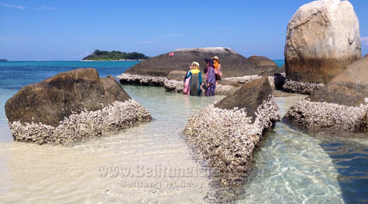 日程 #2 - 目的地 Pulau Burung| Burung Island|鸟岛|جزيرة الطيور