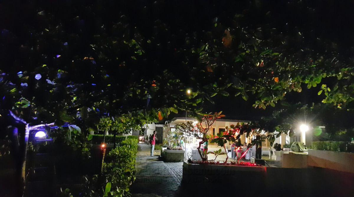 Itinerary Day #1 - Destination Kampong Dedaun|Dedaun Village|甘榜德丹|Kampong Dedaun