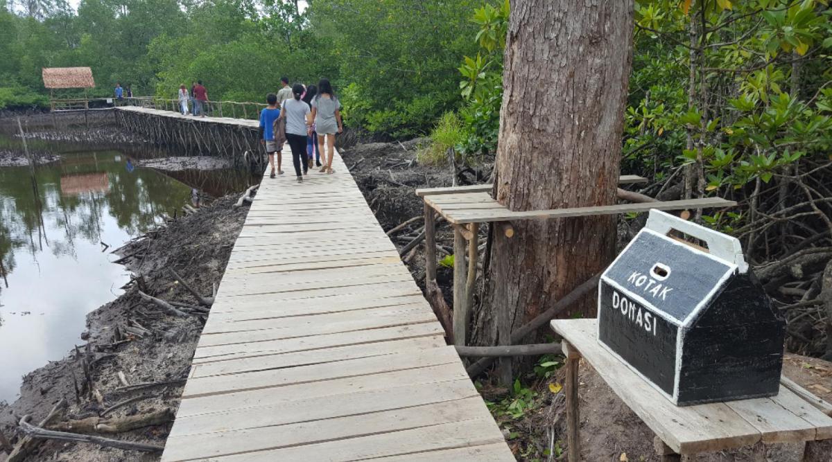 belitung destination Mangrove Kuale
