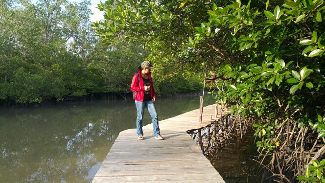 belitung destination foto 1