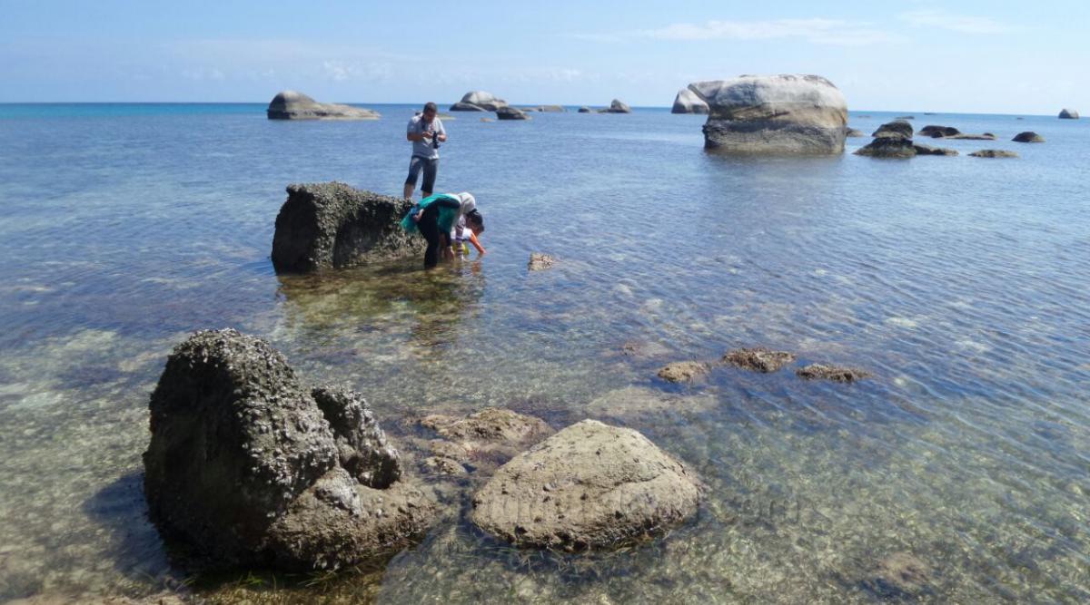 Photo Tanjung Tinggi
