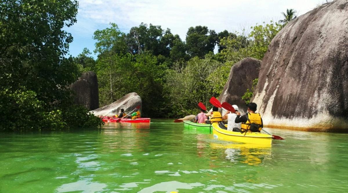 Kayak