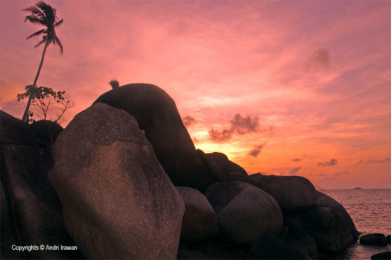 Fotografer:  Andri Irawan 12