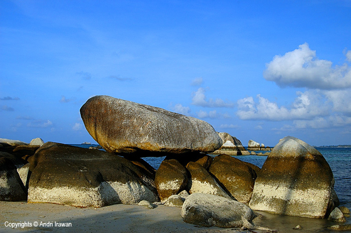 Fotografer:  Andri Irawan 6