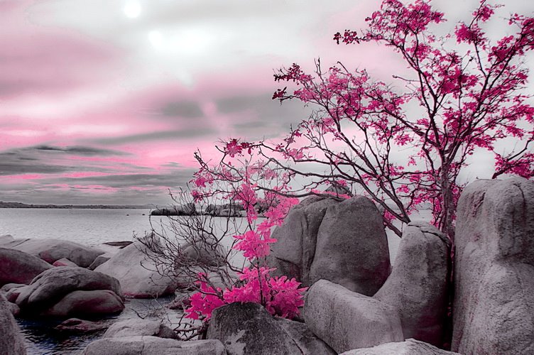 Fotografer:  Herman Sapta Aji 7