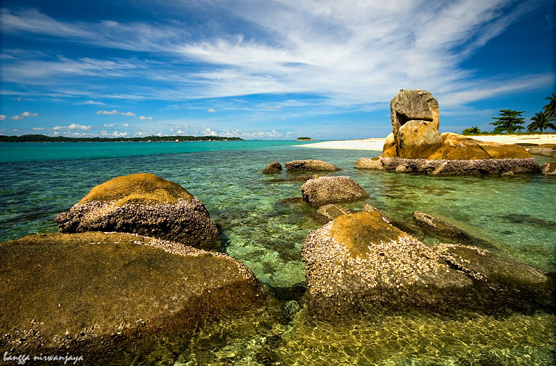Fotografer:  Bangga Nirwanjaya 8