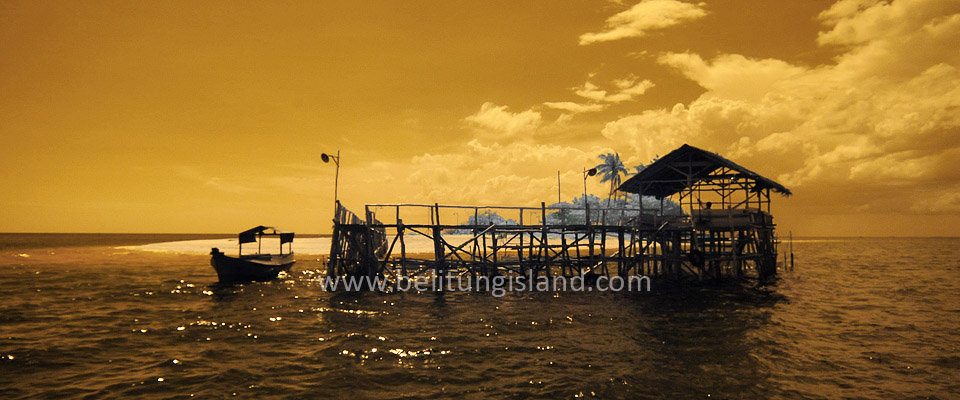 Fotografer:  Irfan A. Tachrir 15