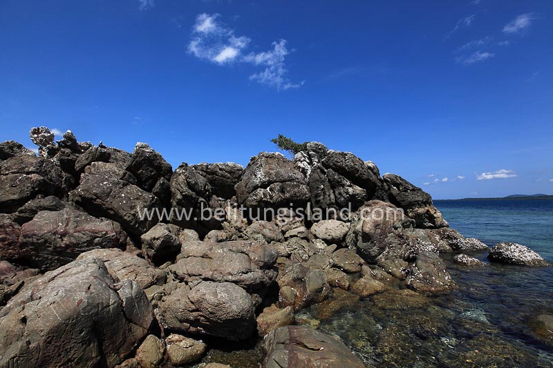 Fotografer:  Irfan A. Tachrir 8