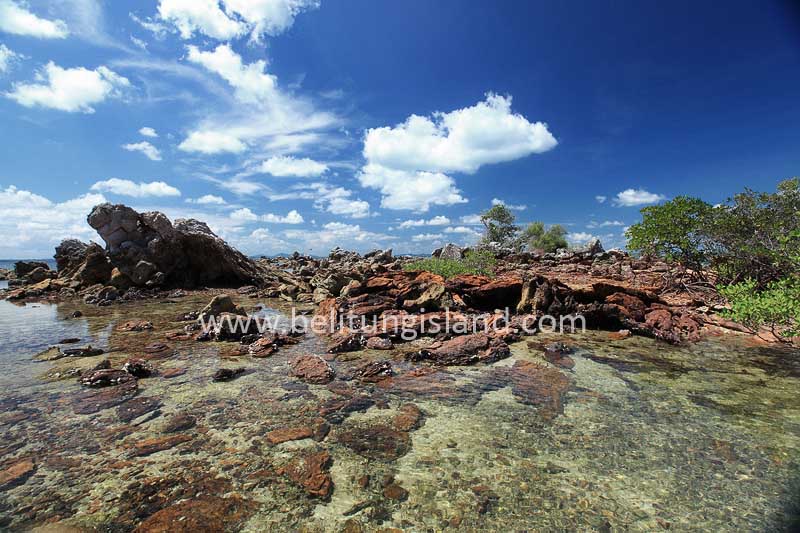 Fotografer:  Irfan A. Tachrir 38