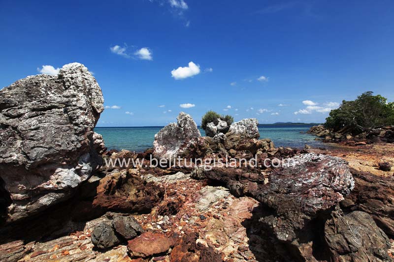 Fotografer:  Irfan A. Tachrir 37