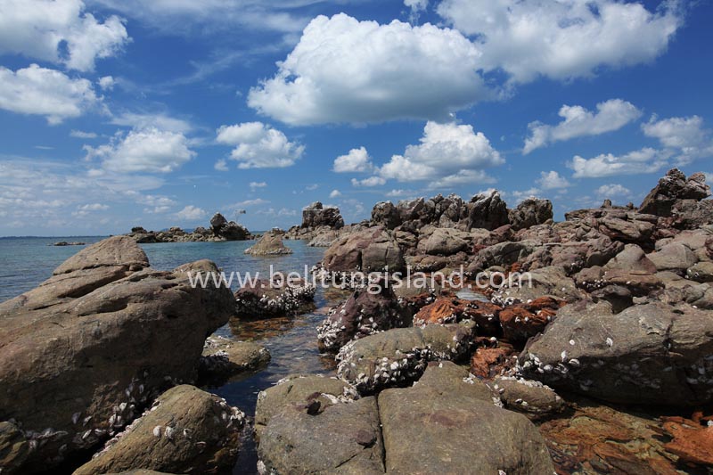 Fotografer:  Irfan A. Tachrir 32