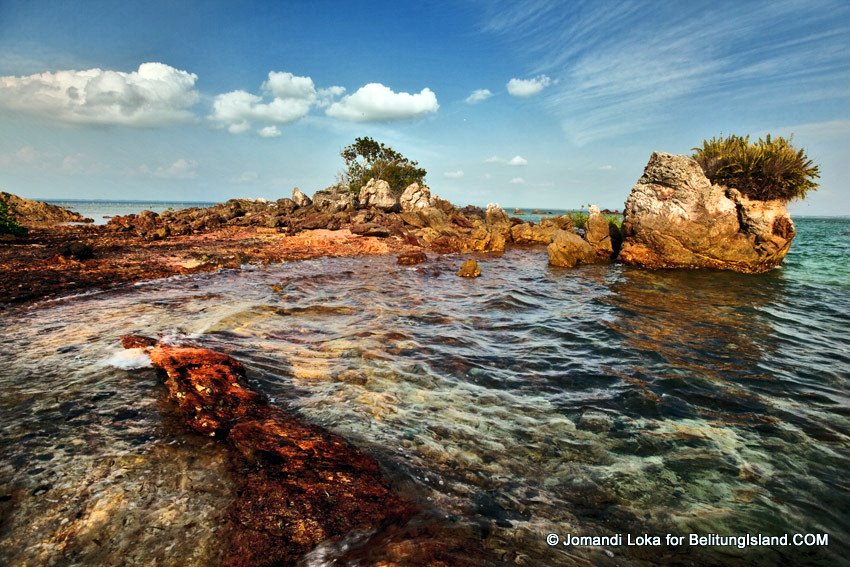 Fotografer:  Jomandi Loka 28
