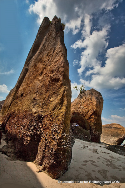 Fotografer:  Jomandi Loka 39