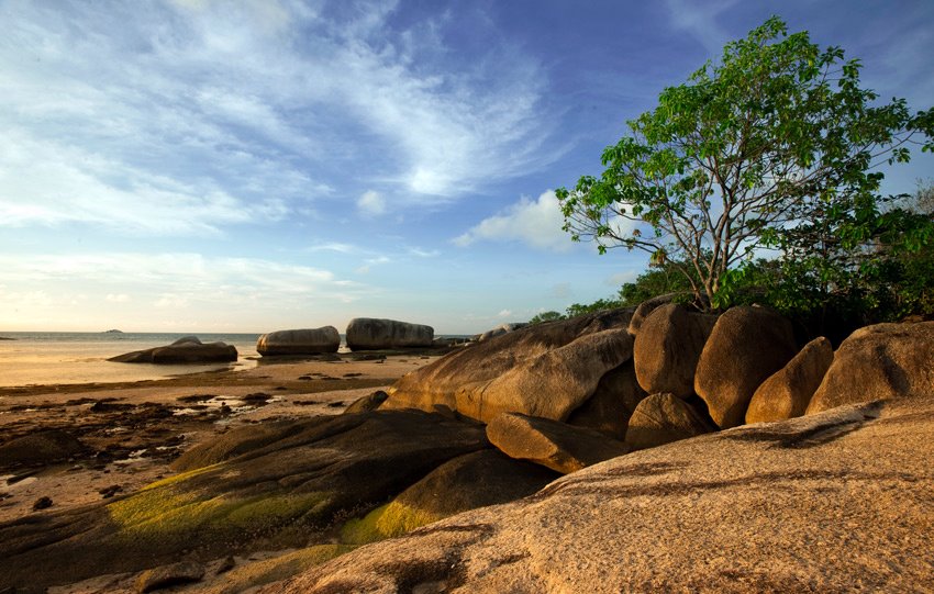 Fotografer:  Hendro Hioe 7