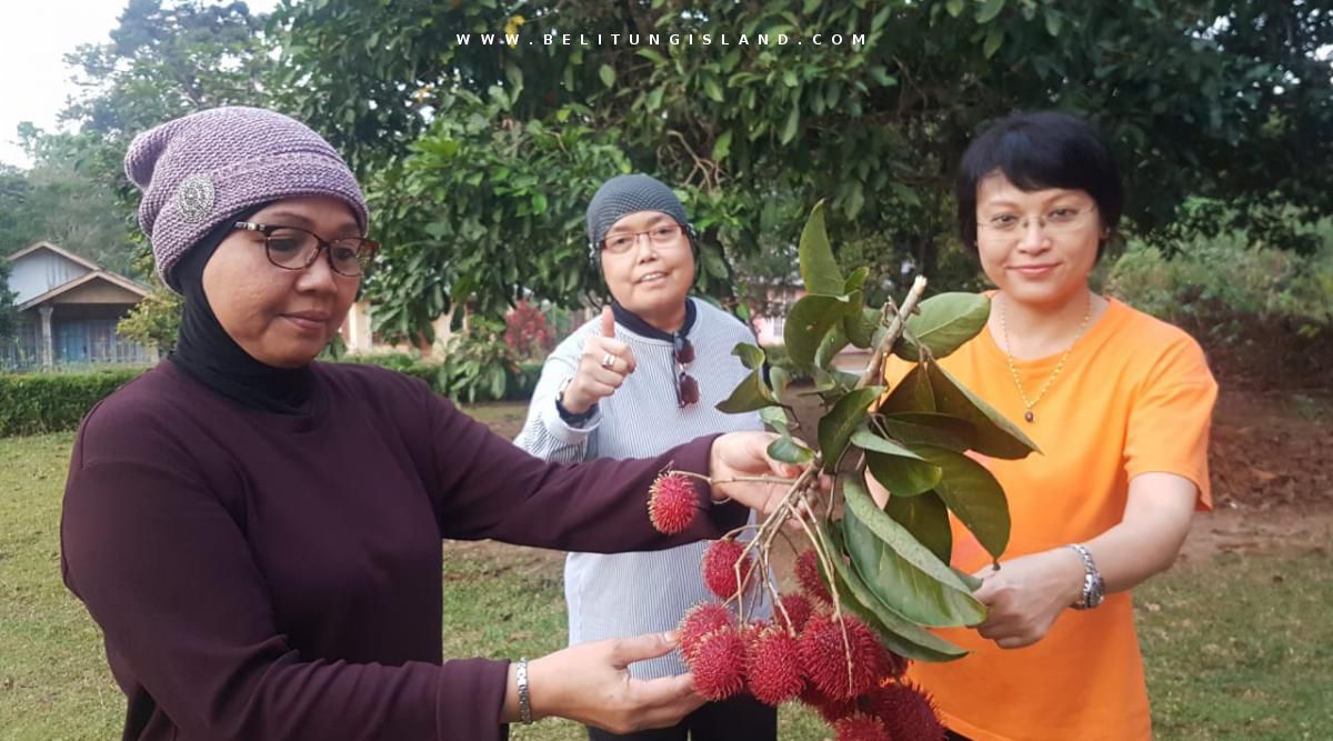 belitung image