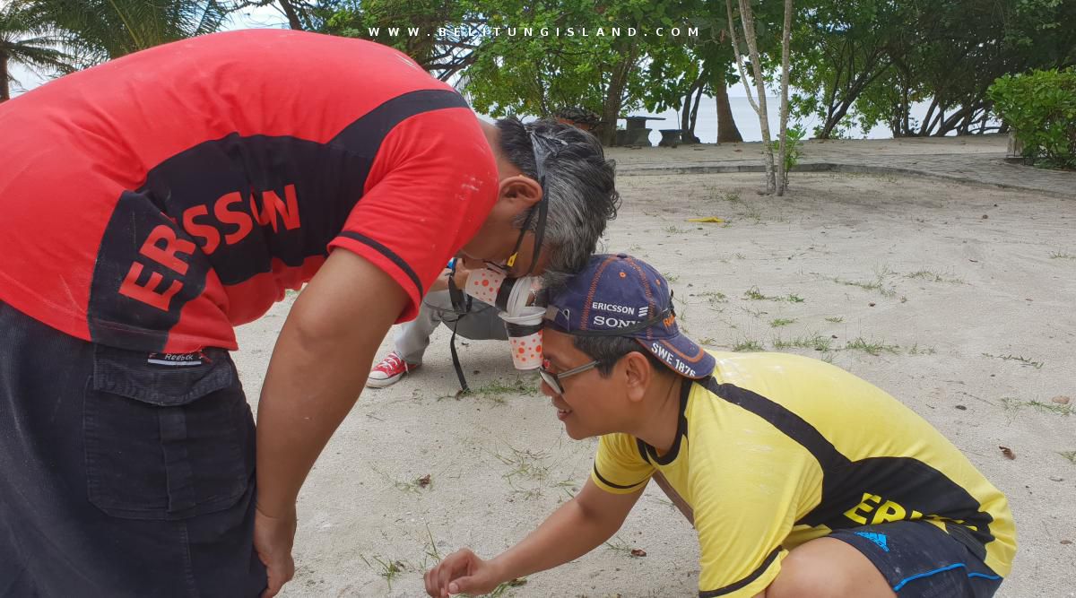 belitung image