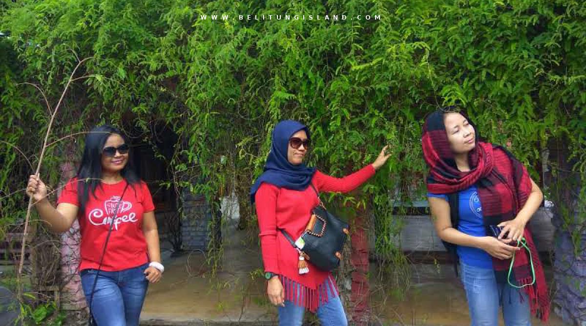 belitung image