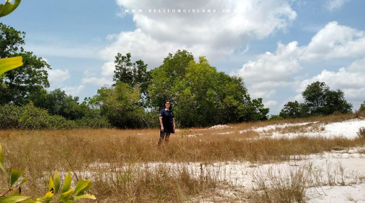 belitung P11808